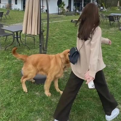 抬头见喜